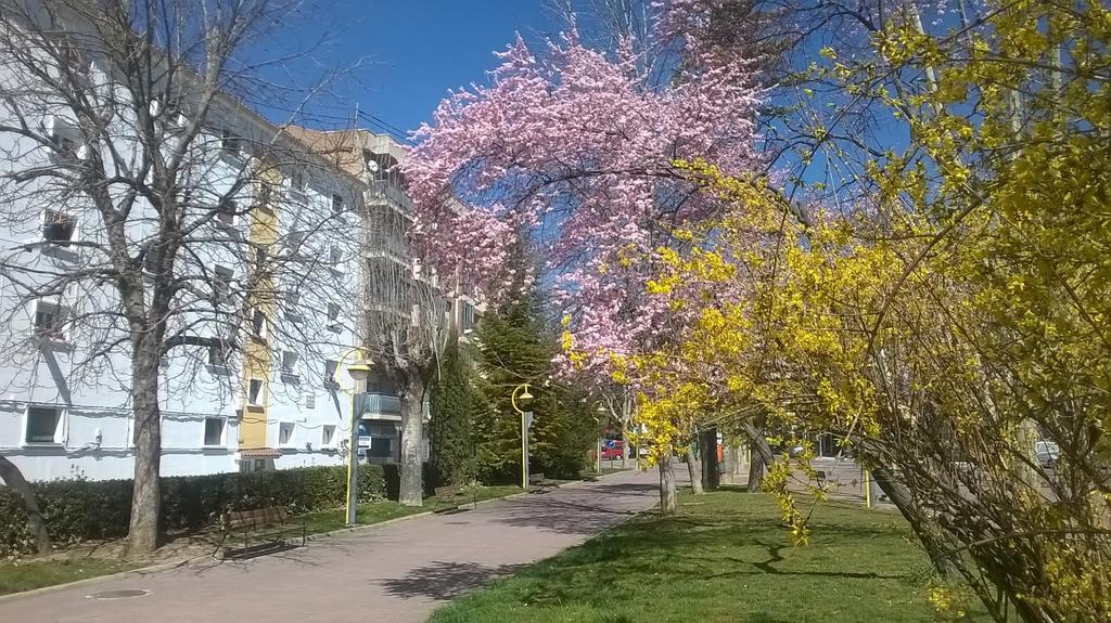 Apartamento Isabel Cuenca  Zewnętrze zdjęcie